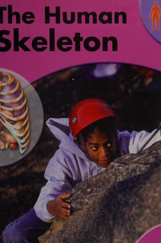 Cover of The Human Skeleton