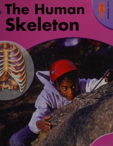 Book cover for The Human Skeleton