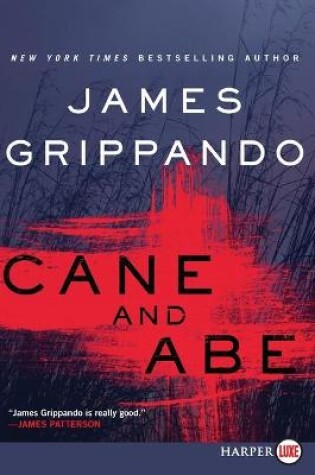 Cover of Cane and Abe [Large Print]