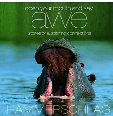 Book cover for Open Your Mouth and Say Awe