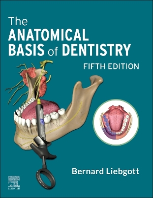 Cover of The Anatomical Basis of Dentistry - E-Book