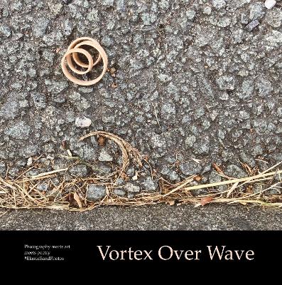 Book cover for Vortex Over Wave