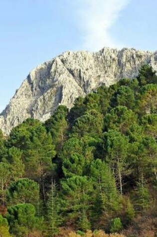 Cover of Pine Forest of Sierra de Grazalema Natural Park in Spain Journal