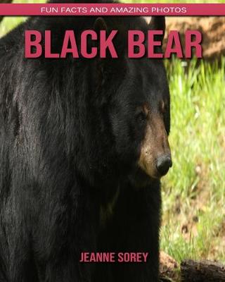 Book cover for Black Bear