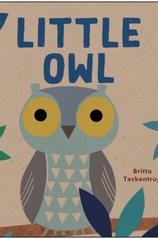 Cover of Little Owl