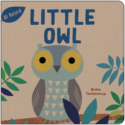 Book cover for Little Owl