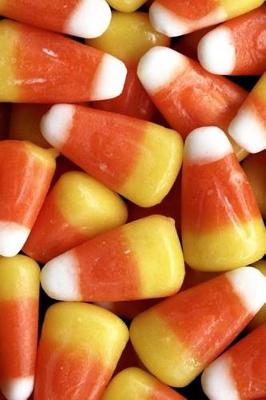 Cover of 2019 Daily Planner Candy Corn Halloween Treats 384 Pages