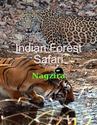 Book cover for Indian Forest Safari - Nagzira