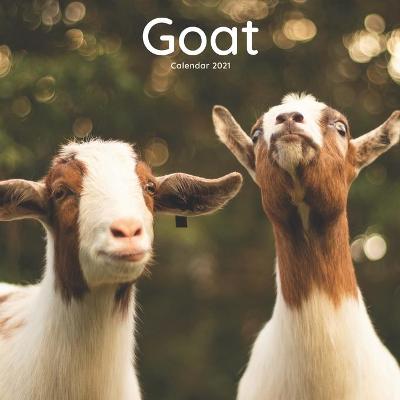 Book cover for Goat Calendar 2021
