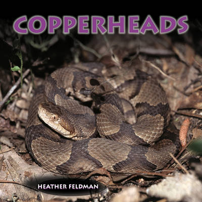 Book cover for Copperheads