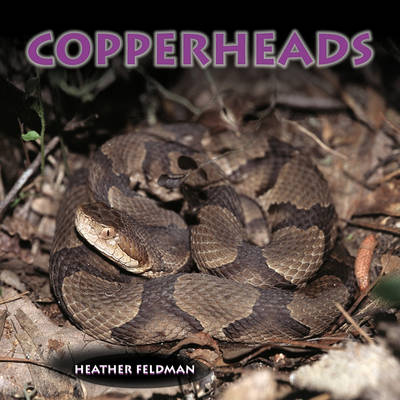 Cover of Copperheads