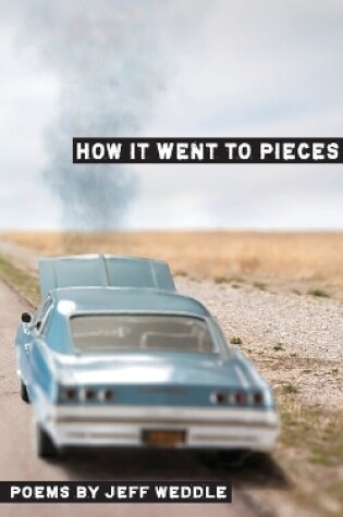 Cover of How it Went to Pieces