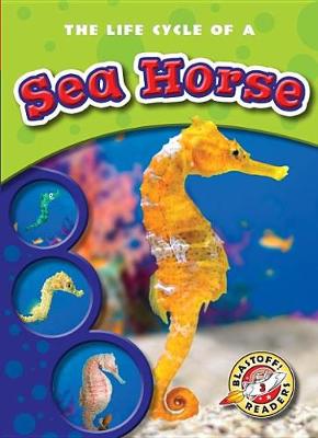 Cover of The Life Cycle of a Sea Horse