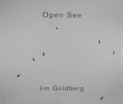 Book cover for Jim Goldberg:Open See