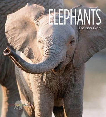 Book cover for Elephants