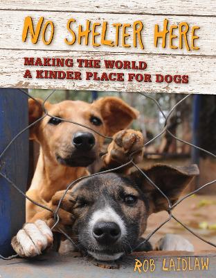 Book cover for No Shelter Here