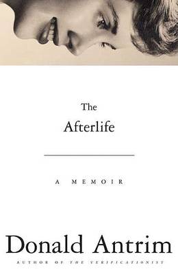 Book cover for The Afterlife