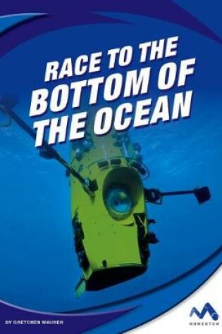 Cover of Race to the Bottom of the Ocean