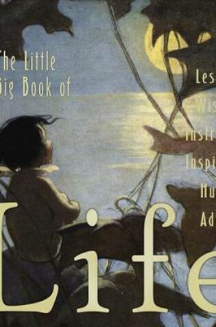 Cover of The Little Big Book of Life