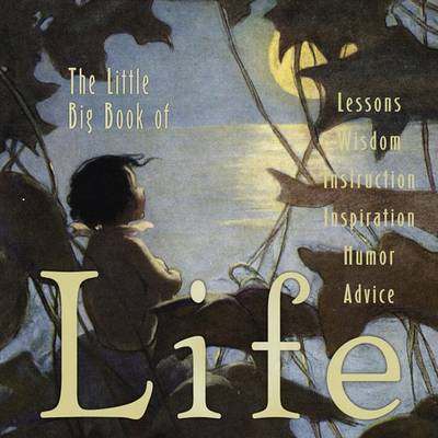 Book cover for The Little Big Book of Life