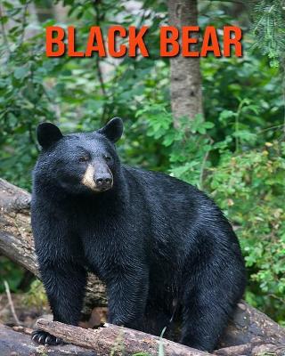 Book cover for Black Bear