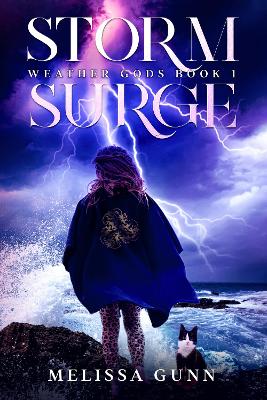 Book cover for Storm Surge