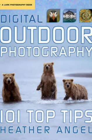 Cover of Digital Outdoor Photography