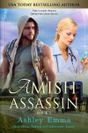 Book cover for Amish Assassin