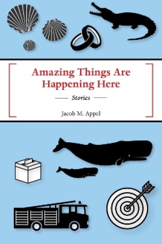 Cover of Amazing Things Are Happening Here