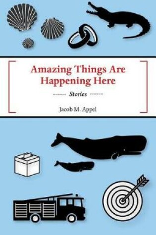 Cover of Amazing Things Are Happening Here
