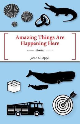 Book cover for Amazing Things Are Happening Here