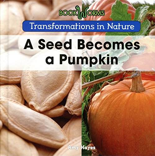 Book cover for A Seed Becomes a Pumpkin