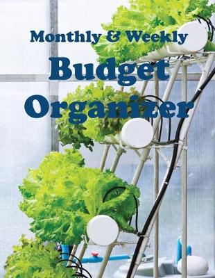Book cover for Monthly & Weekly Budget Organizer