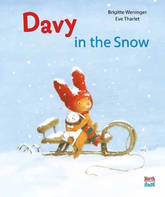 Book cover for Davy in the Snow