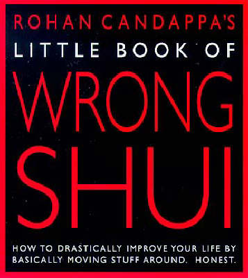 Book cover for Little Book Of Wrong Shui