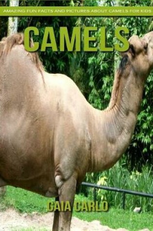 Cover of Camels