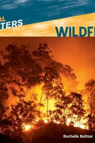 Cover of Wildfires