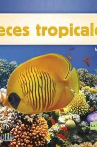 Cover of Peces Tropicales