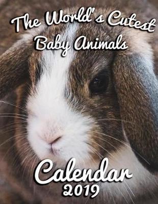 Book cover for The World's Cutest Baby Animals Calendar 2019