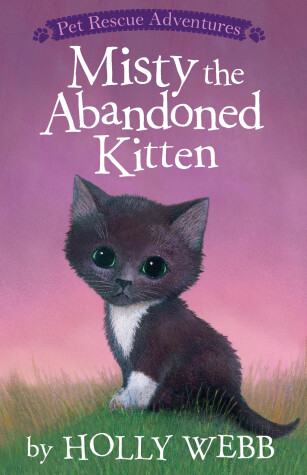 Book cover for Misty the Abandoned Kitten