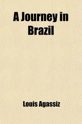 Book cover for A Journey in Brazil Volume 4