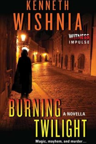 Cover of Burning Twilight