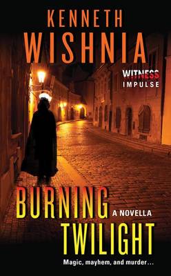 Book cover for Burning Twilight