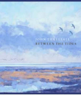 Book cover for Between the Tides