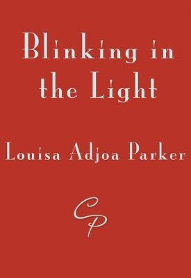 Book cover for Blinking in the Light