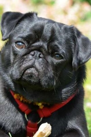 Cover of A Pug in the Grass Holding a Bone Journal