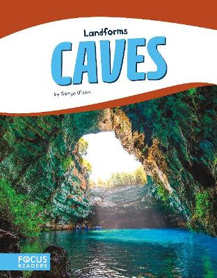 Book cover for Caves