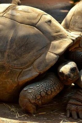 Cover of Giant Galapagos Tortoise Traffic Journal