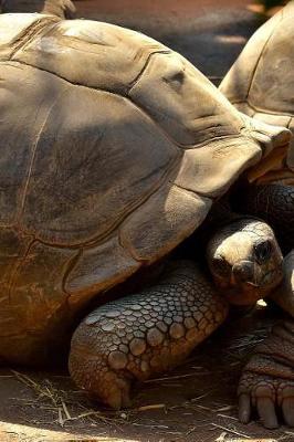 Book cover for Giant Galapagos Tortoise Traffic Journal