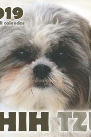 Cover of Shih Tzu 2019 Mini Wall Calendar